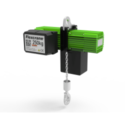 Flexcrane 250 W 5 chain hoist - front view